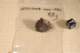 img20080217215659_small.jpg