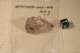 img20080217221050_small.jpg