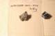 img20080217221551_small.jpg