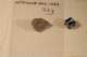 img20080217222224_small.jpg