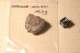 img20080217222951_small.jpg