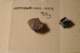 img20080217223039_small.jpg