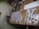 sany0928_small.jpg