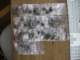 sany0930_small.jpg
