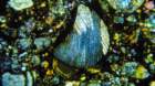 bnwa5931b_small.jpg