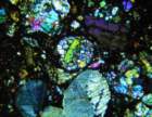 bnwa5931d_small.jpg