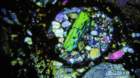 bnwa5931e_small.jpg