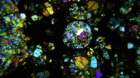 bnwa5931j_small.jpg