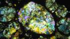 bnwa5931l_small.jpg