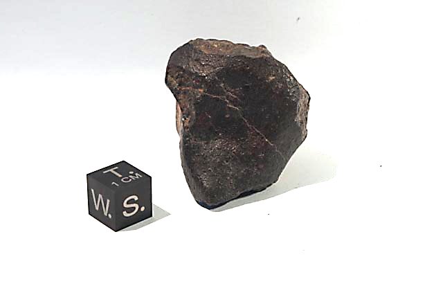 bnwa869b.jpg