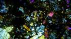 nwa0787e_small.jpg