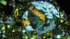 nwa0787i_small.jpg