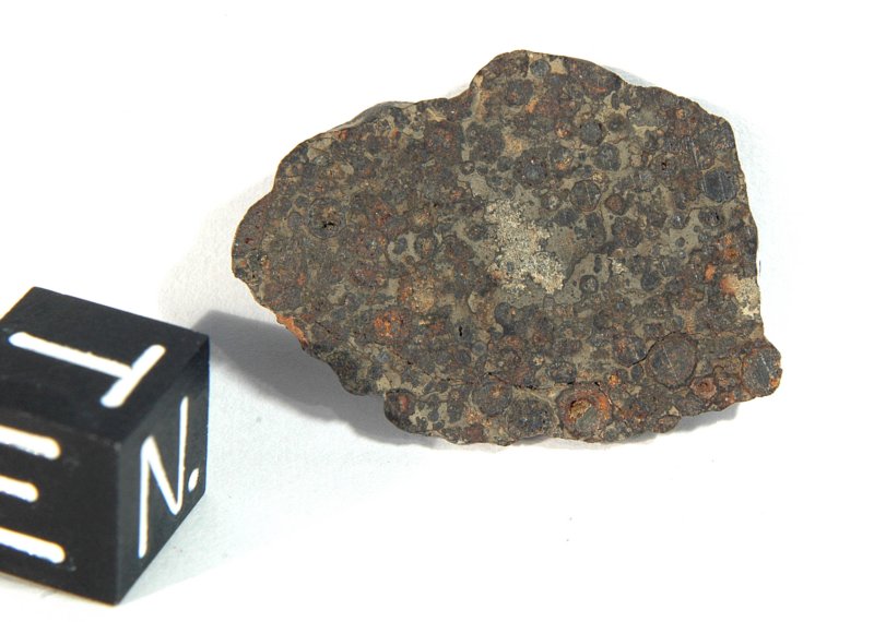 nwa2697.jpg
