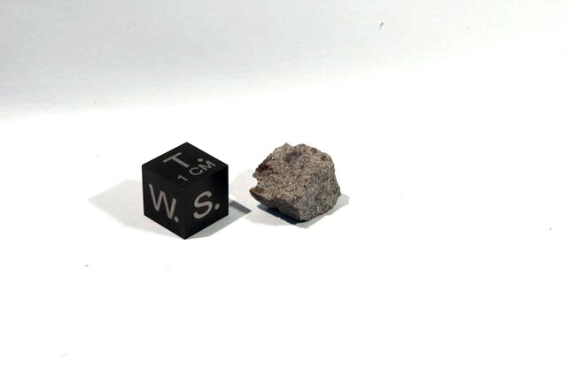 nwa3117b.jpg