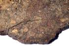 nwa3119a_small.jpg