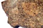 nwa3119d_small.jpg