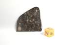 nwa4699a_small.jpg