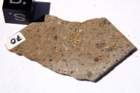 nwa6048b_small.jpg