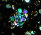 nwa6236d_small.jpg