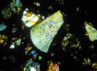 nwa6236j_small.jpg