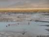 chile2015150128180511dscn3960_small.jpg