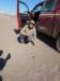 atacama2016160223174033dscn6063_small.jpg