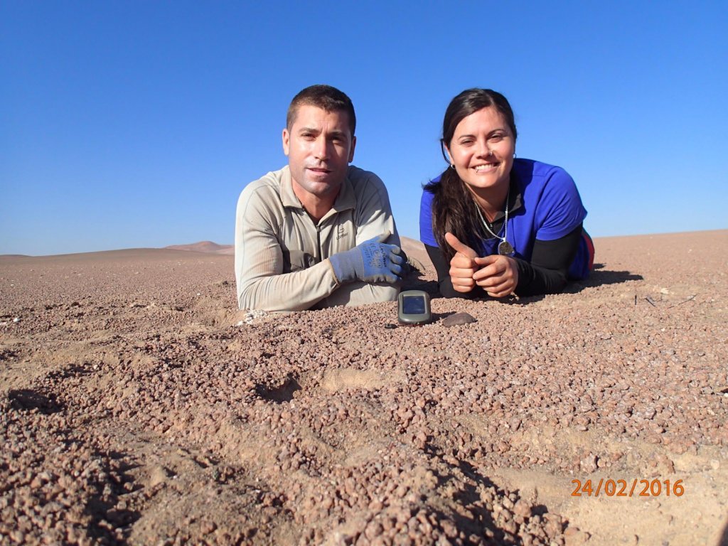 atacama2016160224091933p2240096.jpg