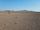 chile20182096_small.jpg