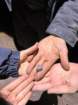 img_7728_small.jpg