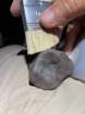 meteoritos2024davidimg_5207_small.jpg