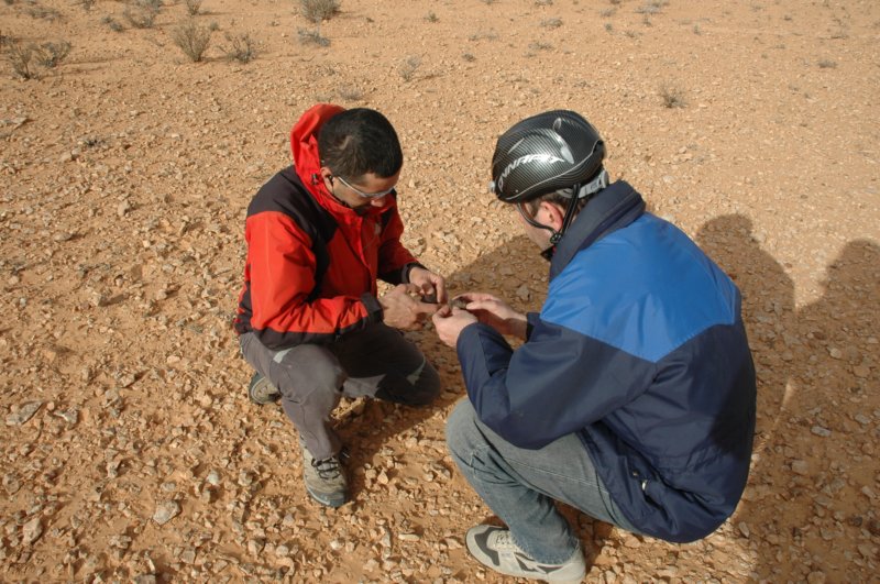 seleccio2011163.jpg